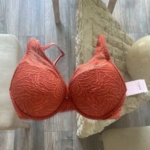 Auden- Push up Bra